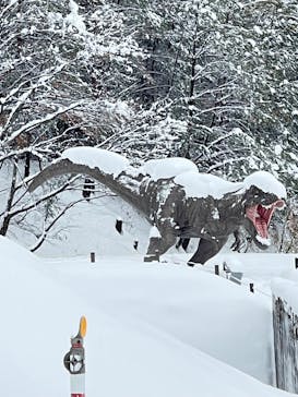 福井県立恐竜博物館に投稿された画像（2024/12/29）