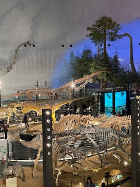 福井県立恐竜博物館に投稿された画像（2024/12/29）