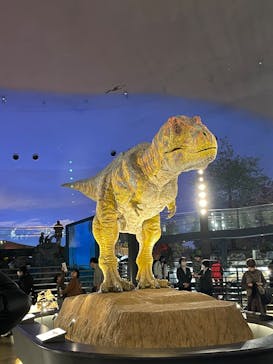 福井県立恐竜博物館に投稿された画像（2024/12/29）