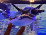 すみだ水族館に投稿された画像（2024/12/29）