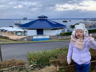 のとじま水族館に投稿された画像（2024/12/29）