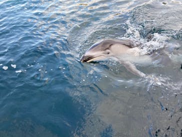 のとじま水族館に投稿された画像（2024/12/29）