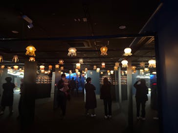 京都水族館に投稿された画像（2024/12/29）