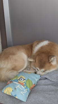 阿仁スキー場に投稿された画像（2024/12/29）