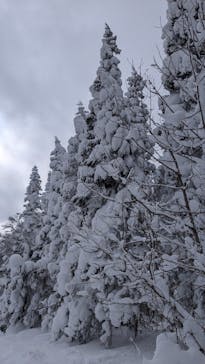 阿仁スキー場に投稿された画像（2024/12/29）