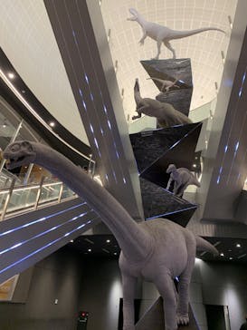 福井県立恐竜博物館に投稿された画像（2024/12/29）