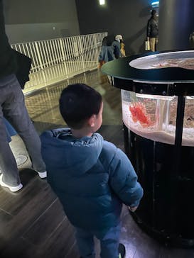 マクセル アクアパーク品川に投稿された画像（2024/12/29）