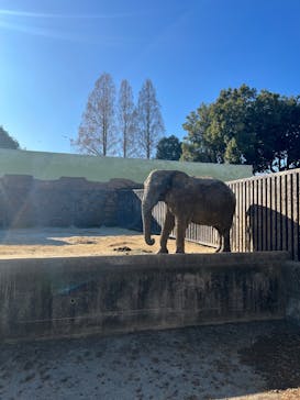 東武動物公園に投稿された画像（2024/12/29）