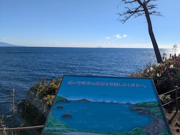 ニューヨークランプミュージアム＆フラワーガーデンに投稿された画像（2024/12/29）