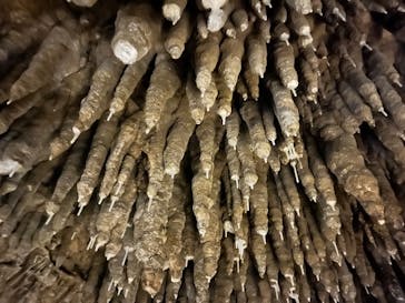 おきなわワールドに投稿された画像（2024/12/29）