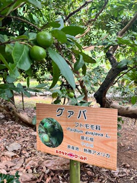 おきなわワールドに投稿された画像（2024/12/29）