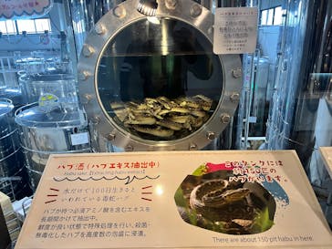 おきなわワールドに投稿された画像（2024/12/29）