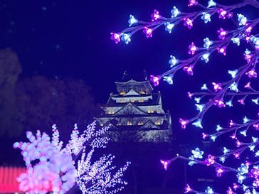 大阪城イルミナージュに投稿された画像（2024/12/29）