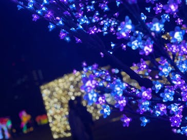 大阪城イルミナージュに投稿された画像（2024/12/29）