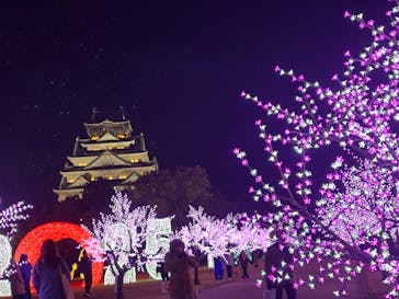 大阪城イルミナージュに投稿された画像（2024/12/29）