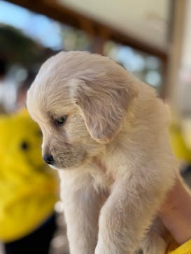 つくばわんわんランドに投稿された画像（2024/12/29）