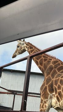 那須サファリパークに投稿された画像（2024/12/29）