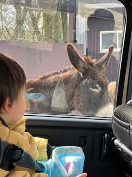 那須サファリパークに投稿された画像（2024/12/29）