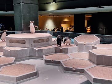 AOAO SAPPOROに投稿された画像（2024/12/29）