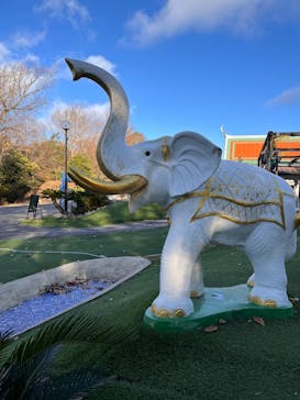 野外民族博物館 リトルワールドに投稿された画像（2024/12/29）