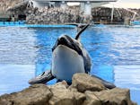 名古屋港水族館に投稿された画像（2024/12/29）