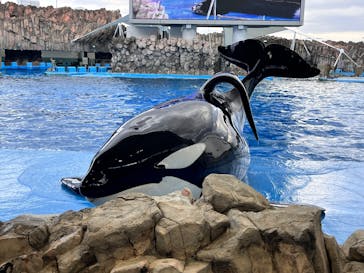 名古屋港水族館に投稿された画像（2024/12/29）
