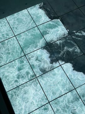 徳島県立 渦の道に投稿された画像（2024/12/29）