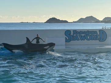 鴨川シーワールドに投稿された画像（2024/12/29）