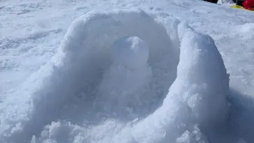 ひらかたパークに投稿された画像（2024/12/29）