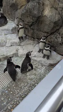 仙台うみの杜水族館に投稿された画像（2024/12/29）