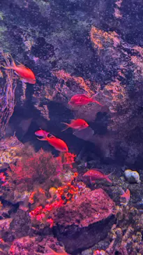 仙台うみの杜水族館に投稿された画像（2024/12/29）