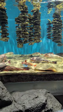 仙台うみの杜水族館に投稿された画像（2024/12/29）