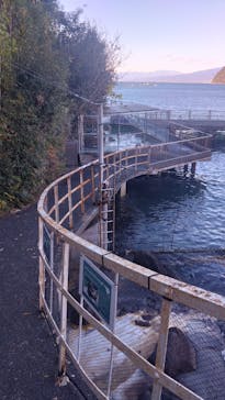 伊豆・三津シーパラダイスに投稿された画像（2024/12/29）