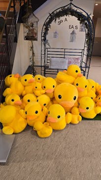 横浜天然温泉 SPA EASに投稿された画像（2024/12/29）