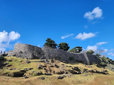 今帰仁城跡に投稿された画像（2024/12/29）