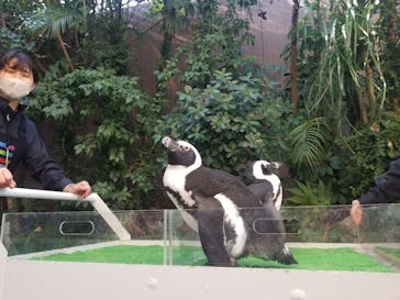 マクセル アクアパーク品川に投稿された画像（2024/12/29）