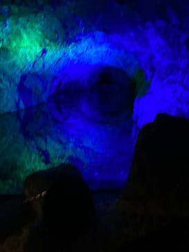 地底王国「美川ムーバレー」に投稿された画像（2024/12/29）