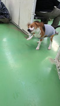 つくばわんわんランドに投稿された画像（2024/12/29）