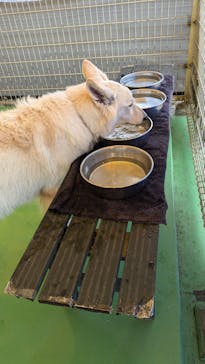 つくばわんわんランドに投稿された画像（2024/12/29）