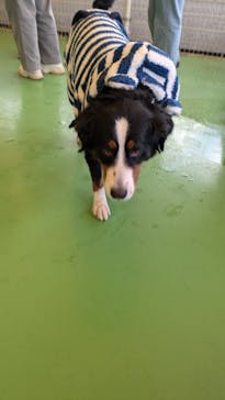 つくばわんわんランドに投稿された画像（2024/12/29）