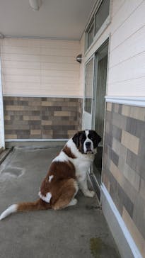 つくばわんわんランドに投稿された画像（2024/12/29）