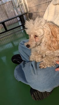 つくばわんわんランドに投稿された画像（2024/12/29）