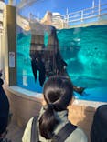 サンシャイン水族館に投稿された画像（2024/12/29）