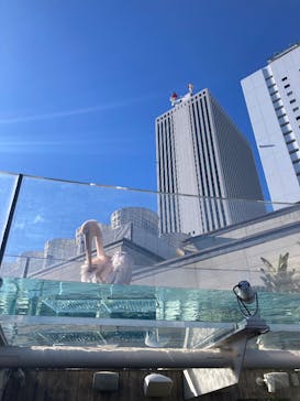 サンシャイン水族館に投稿された画像（2024/12/29）