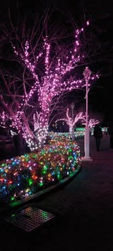 東武動物公園に投稿された画像（2024/12/29）