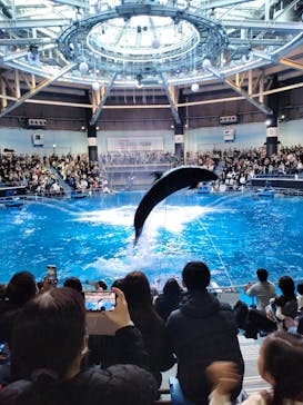 マクセル アクアパーク品川に投稿された画像（2024/12/29）