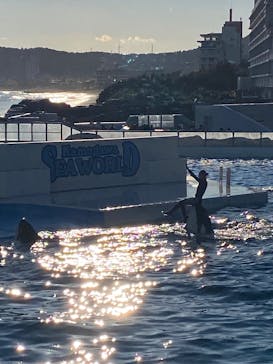 鴨川シーワールドに投稿された画像（2024/12/29）