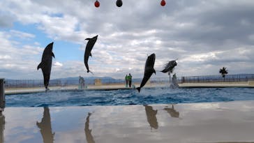 マリンワールド海の中道に投稿された画像（2024/12/29）