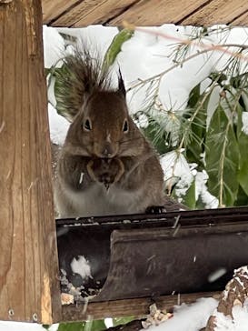 那須どうぶつ王国に投稿された画像（2024/12/29）