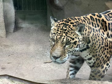 那須どうぶつ王国に投稿された画像（2024/12/29）